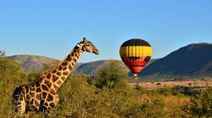 Hot Air Balloon